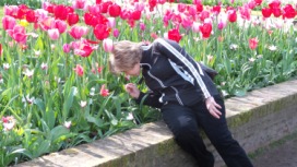 2014-04-17 Holland Tulips 16.jpg